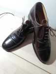 Sapatos clássicos T40 novos