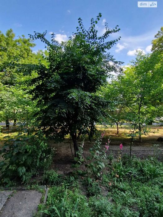 Продам 1-кімн.квартиру, вул.Аудиторна,28