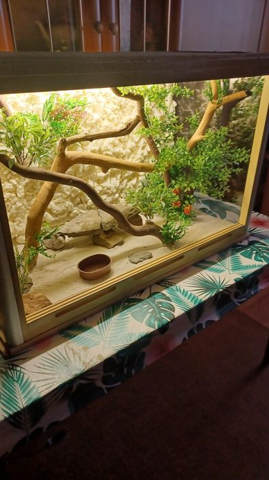 Terrarium dla gadów  węża  jaszczurki gekona