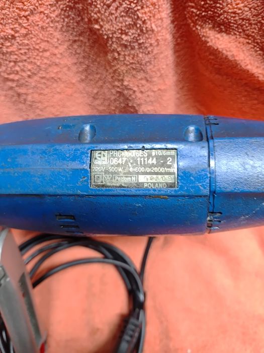 Wiertarka celma niebieska