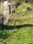 Trabalhos  abates de árvores e limpeza de terrenos tenho tractores