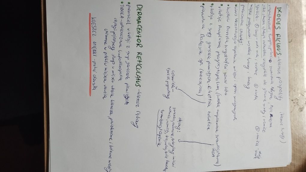 Notatki z parazytologii