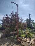 Winda  budowlana