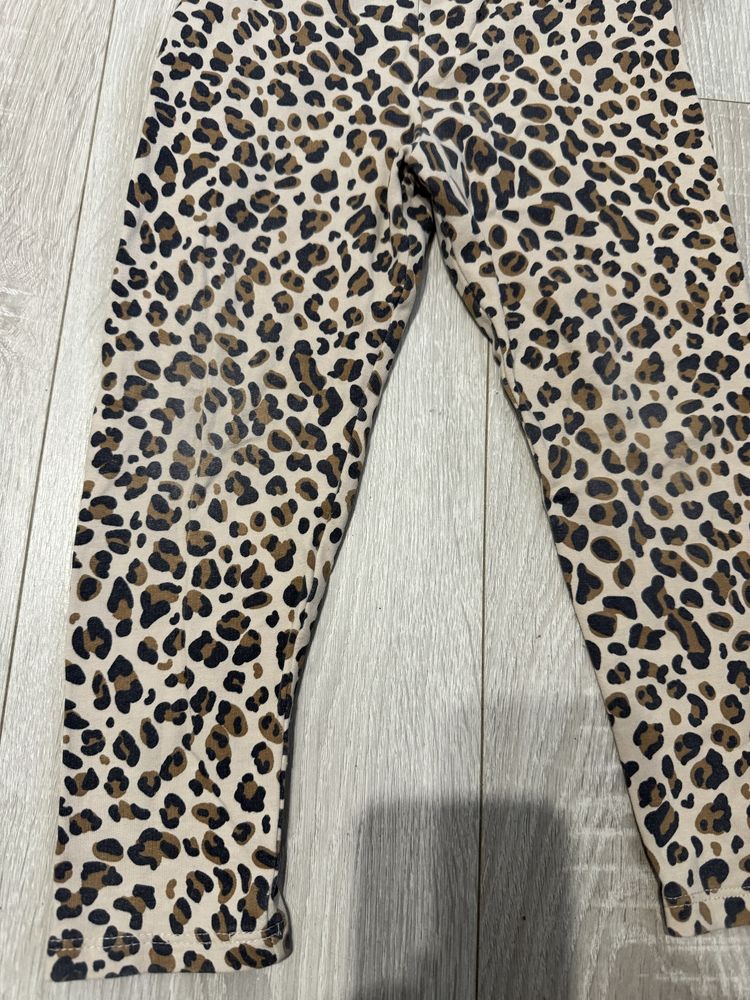 Komplet H&M rozmiar 98 bluzka i spodnie panterka
