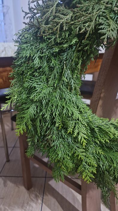 Naturalny wianek z tui