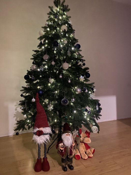 Ялинка лита, чудова 2.3 м