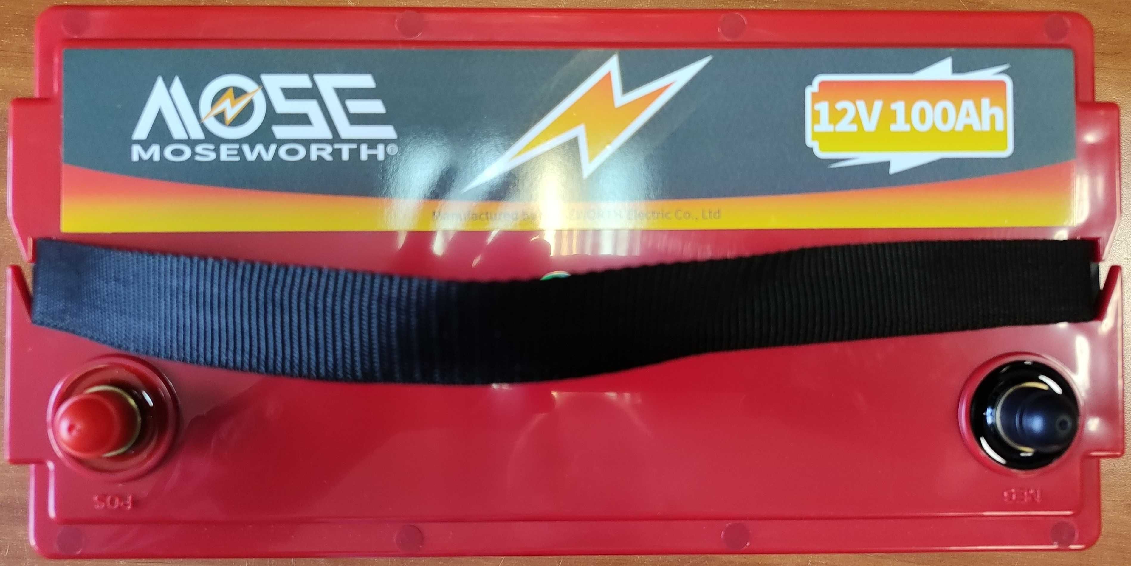 Акумулятор MOSEWORTH LiFePO4 12V/100AH BMS Bluetooth SMART + зарядка