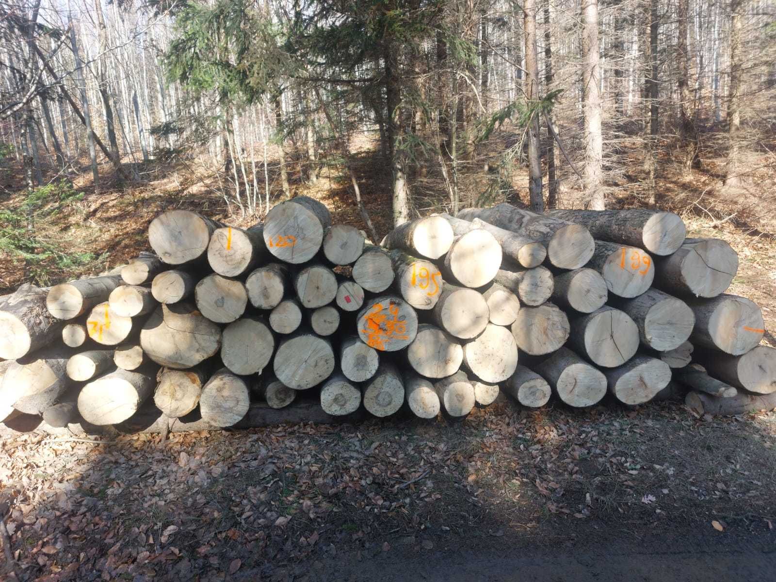 Drewno opałowe i kominkowe!!!