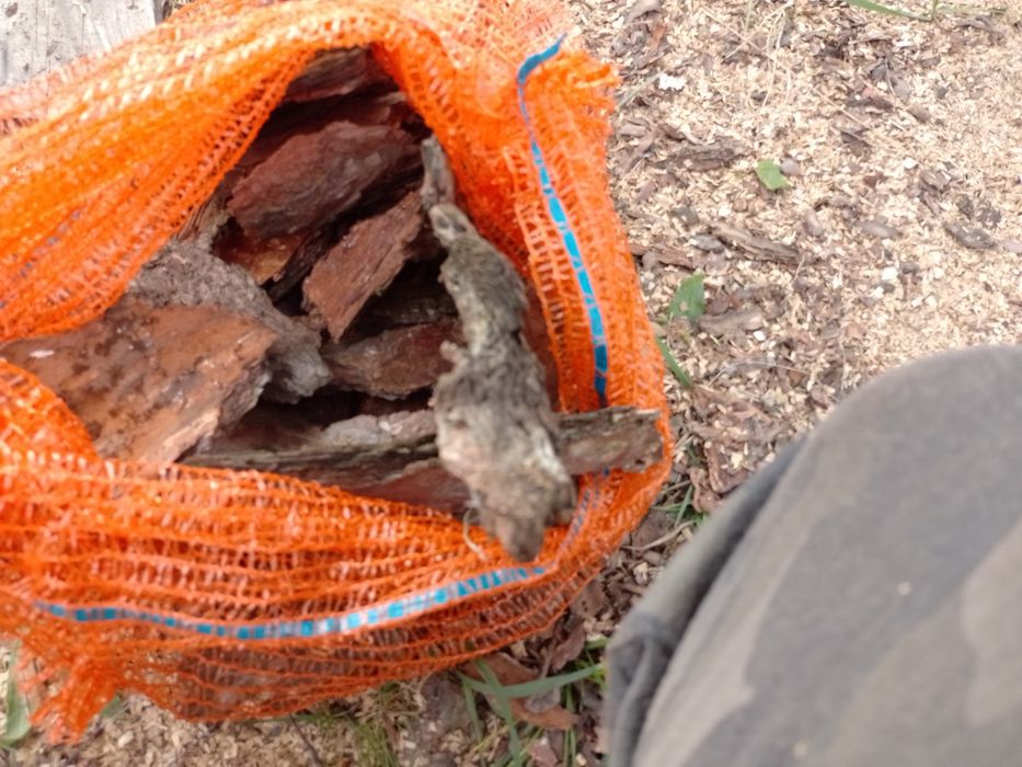 Kora sosnowa workowana