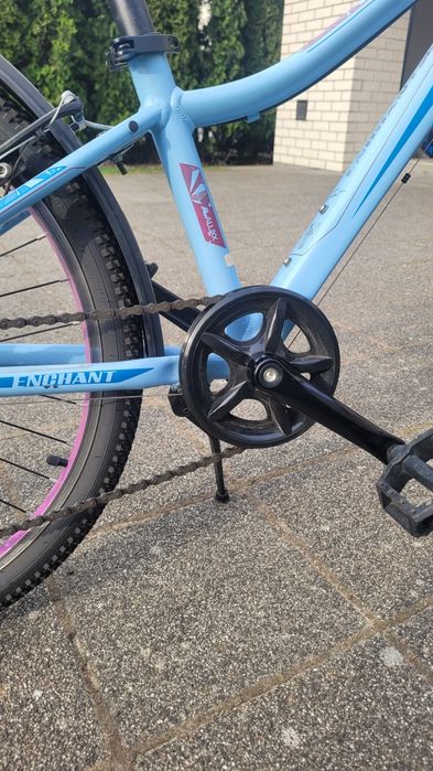 Rower Giant Liv enchant 24