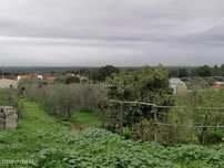 Terreno Misto com Vista Oceano