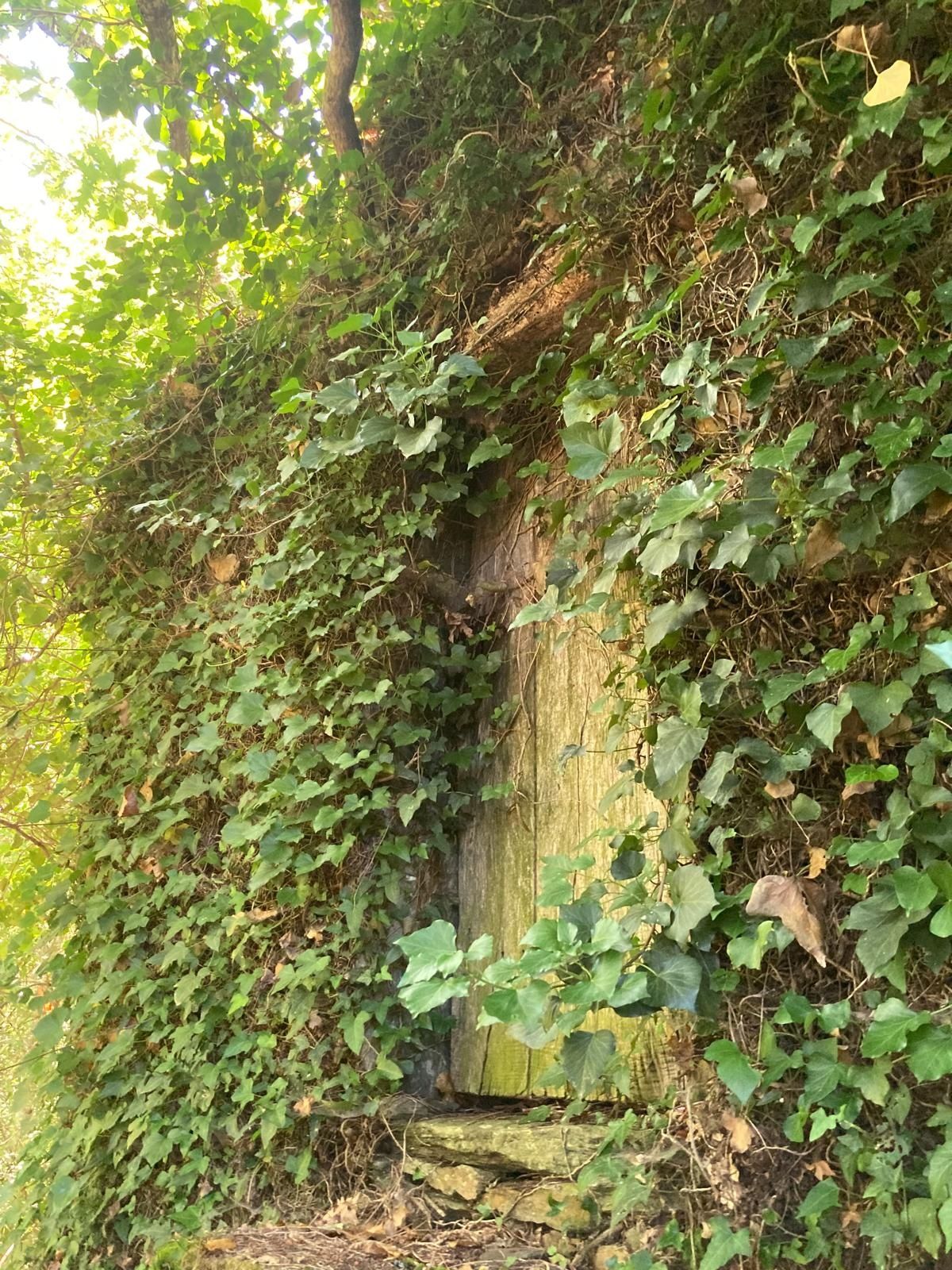 2 casas em pedra, xisto e lousa em ambiente natural