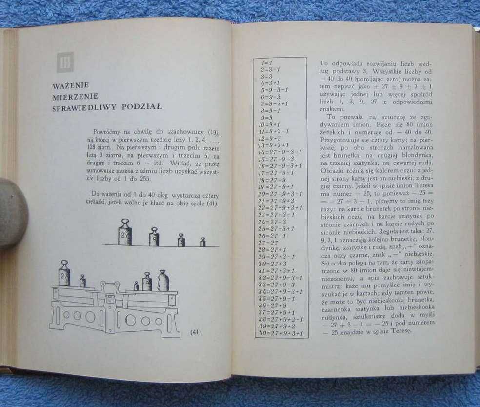 Kalejdoskop matematyczny - Steinhaus Matematyka