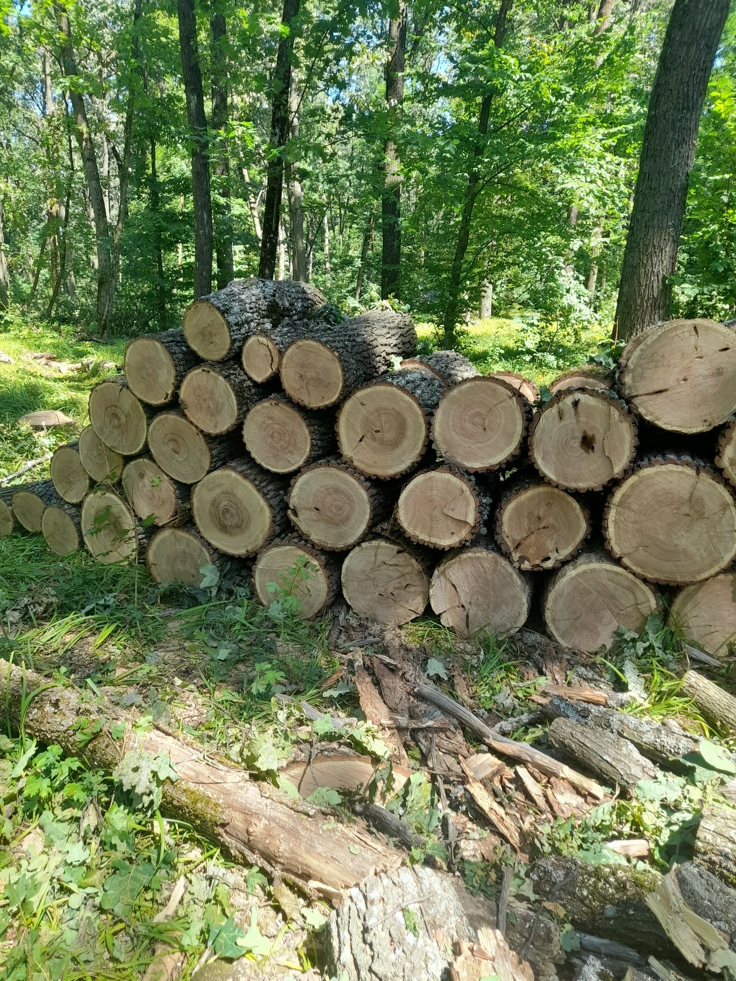 Продам дрова с доставкой