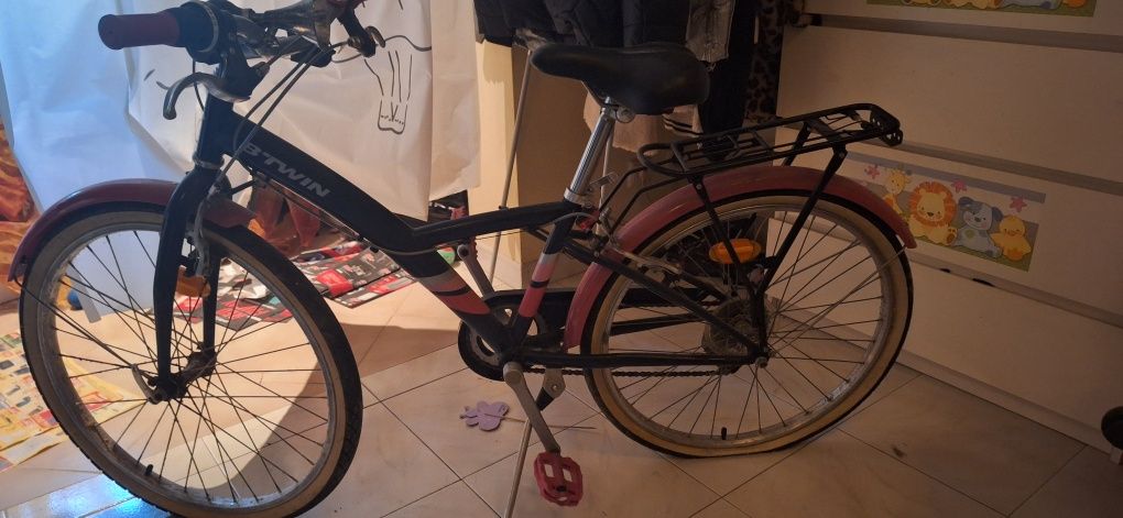 Bicicleta Adulto