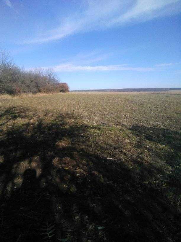 Продам будинок в с,Колюхів