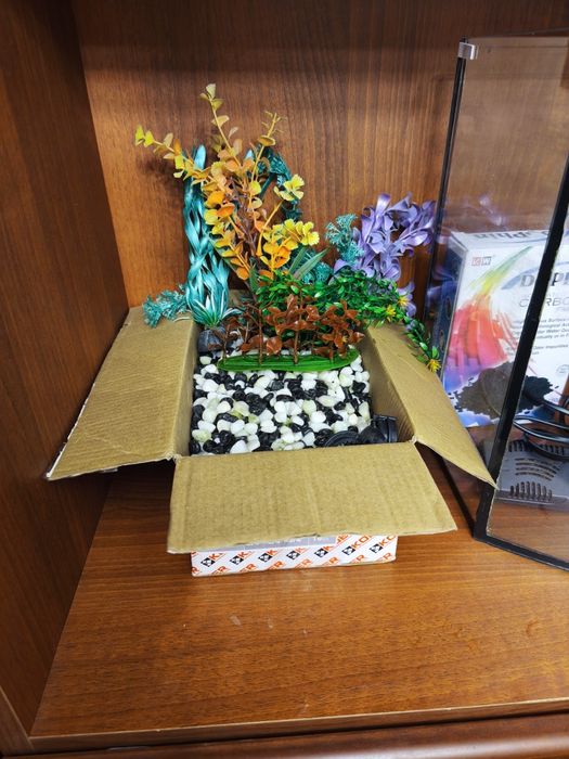 Аквариум 20 л и всё для что в нём