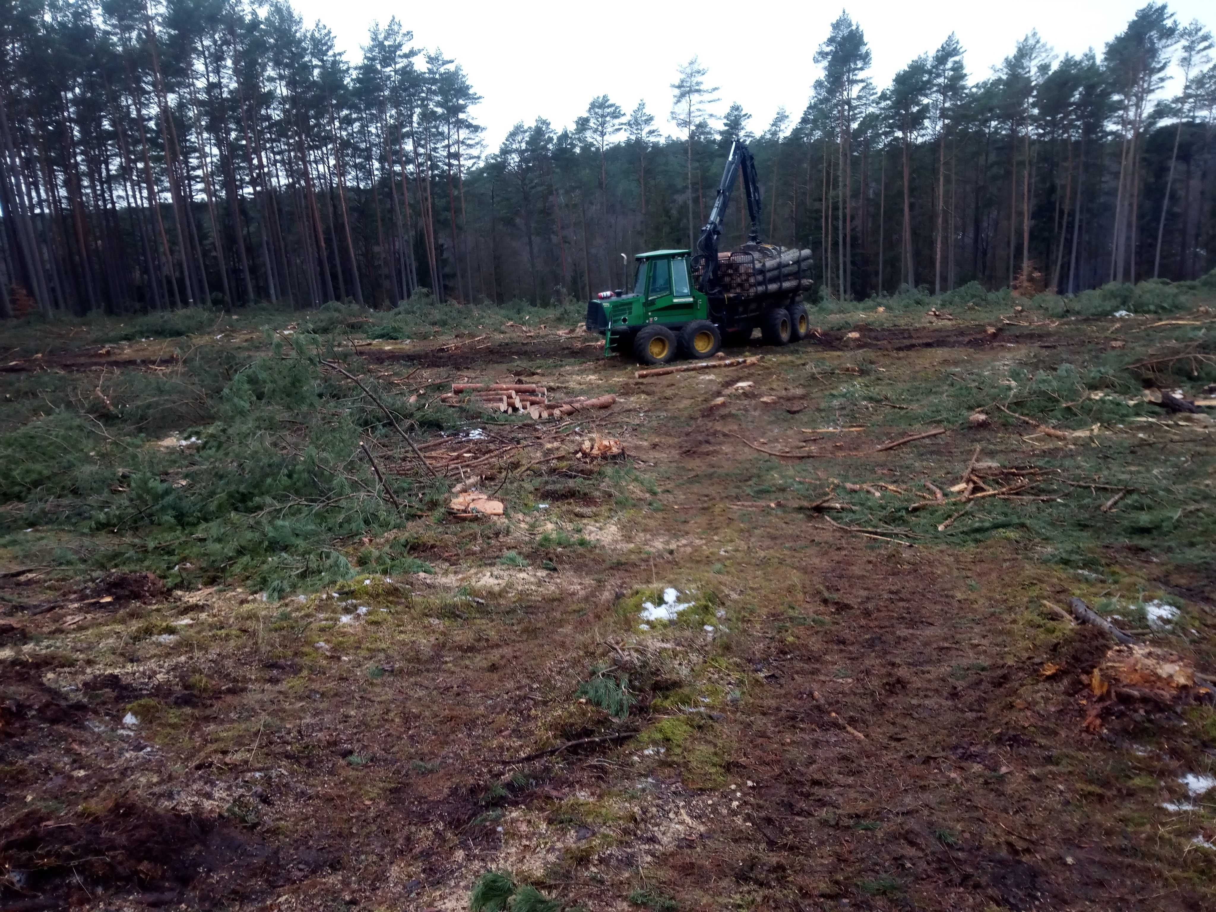 Usługi leśne orka zrębów