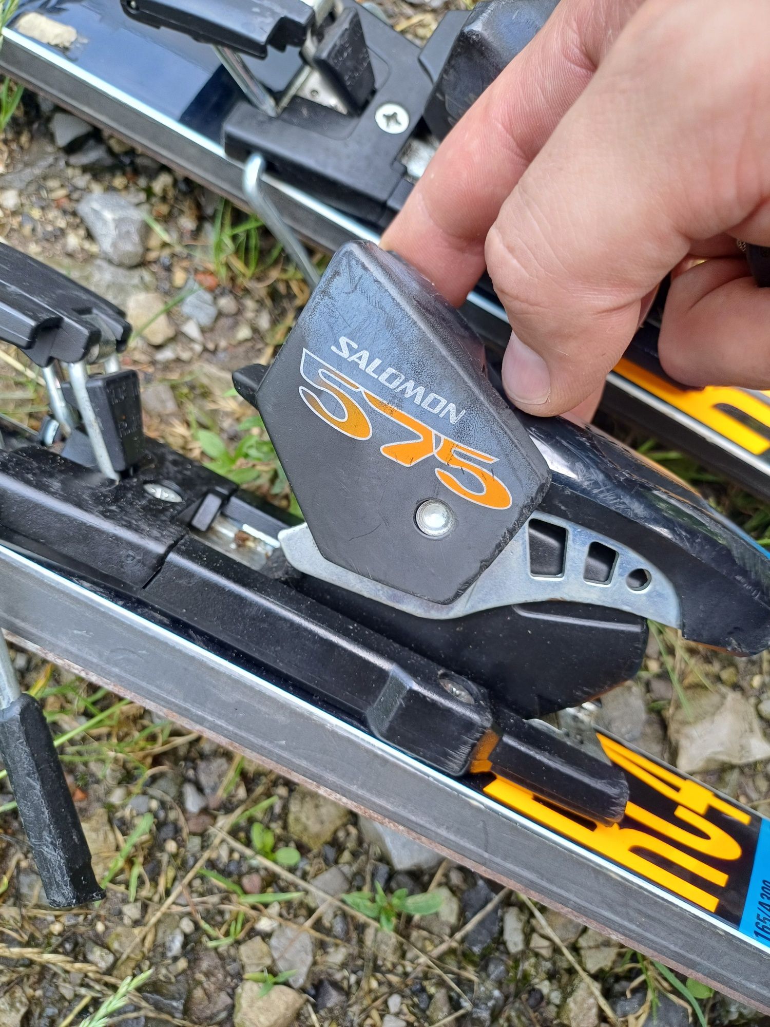 Гірські лижі Fischer RC4