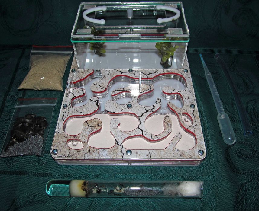 Муравьиная ферма (формикарий) «Anthouse» (пустыня) полный комплект