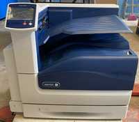 Xerox Phaser 7800