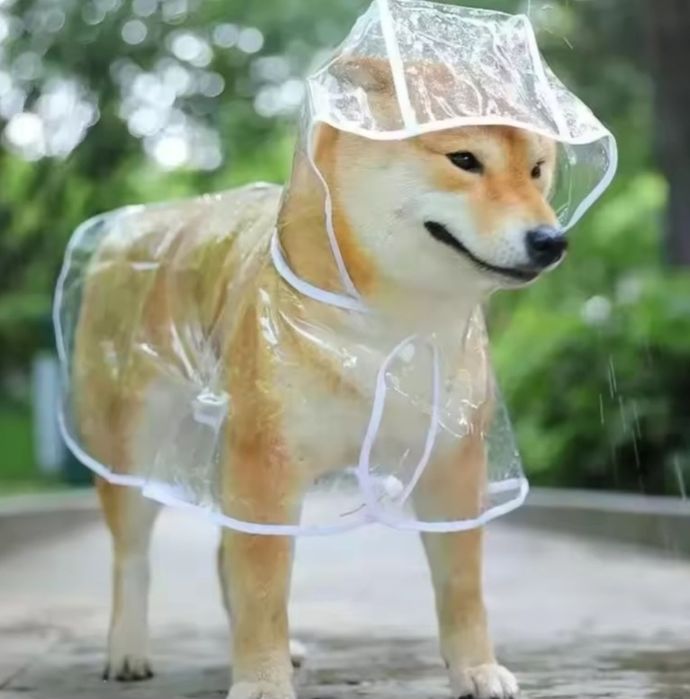 Дощовик для собак