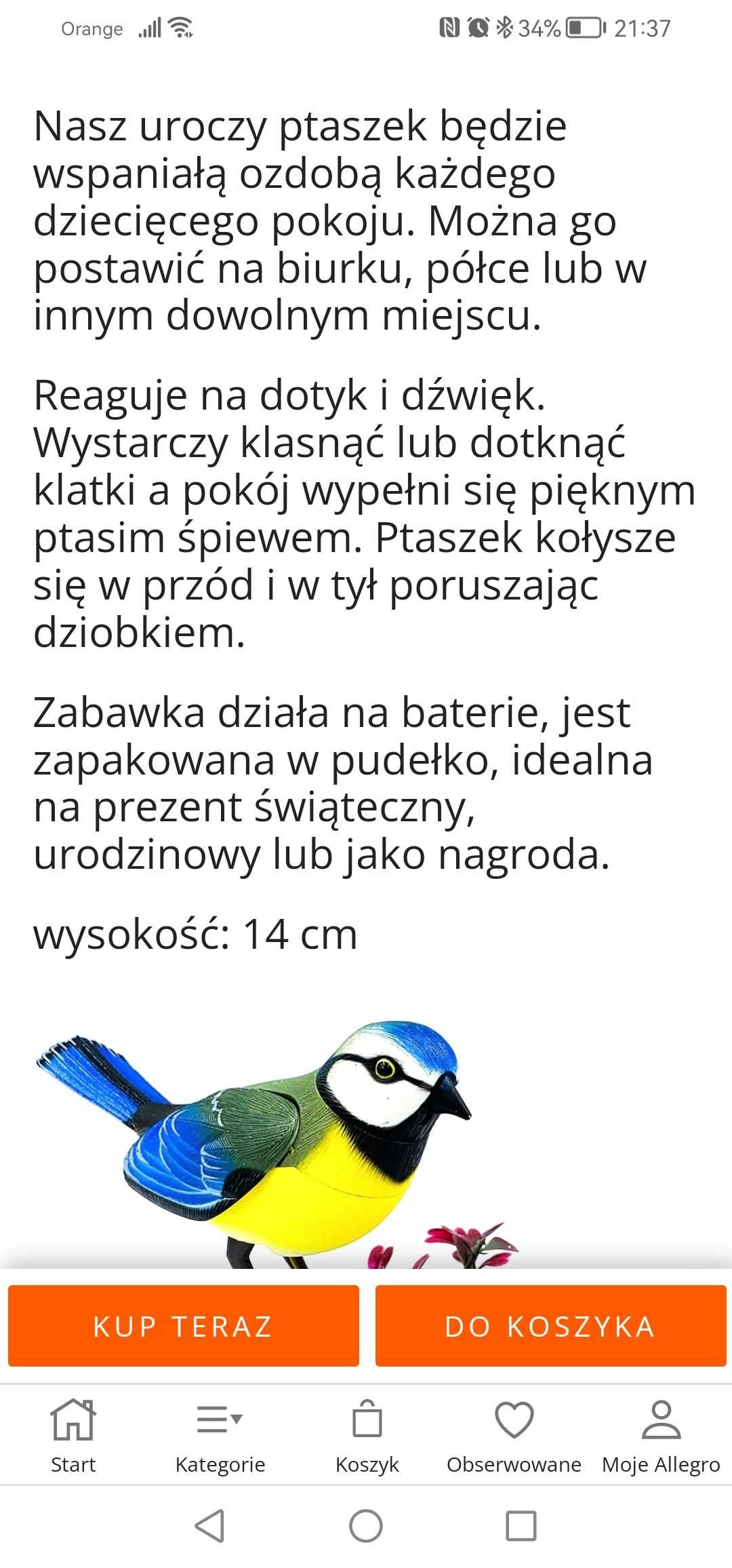 Ptaszek sikorka interaktywna w klatce, śpiewa i porusza się.