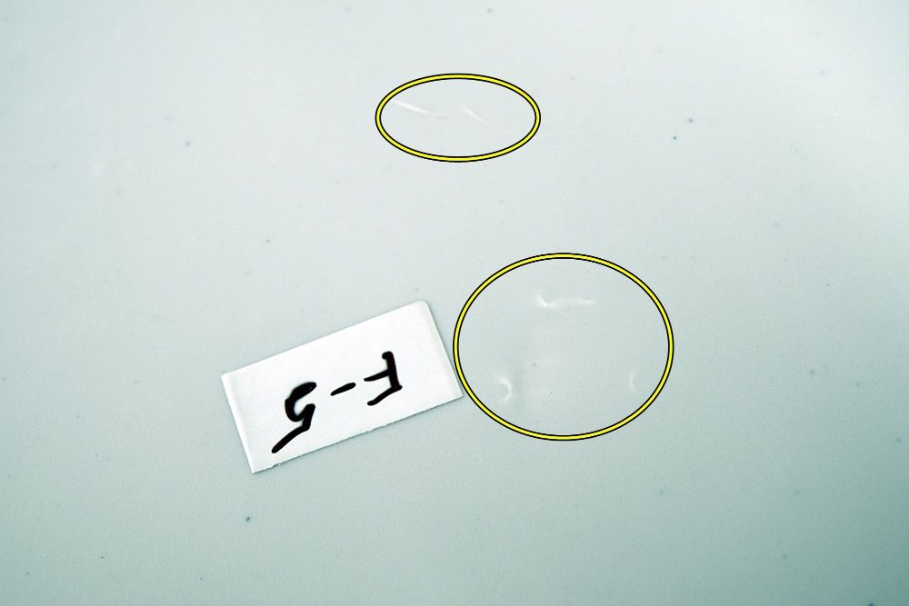 Stół cateringowy FETA składany w walizkę 180 cm ogrodowy bankietowy