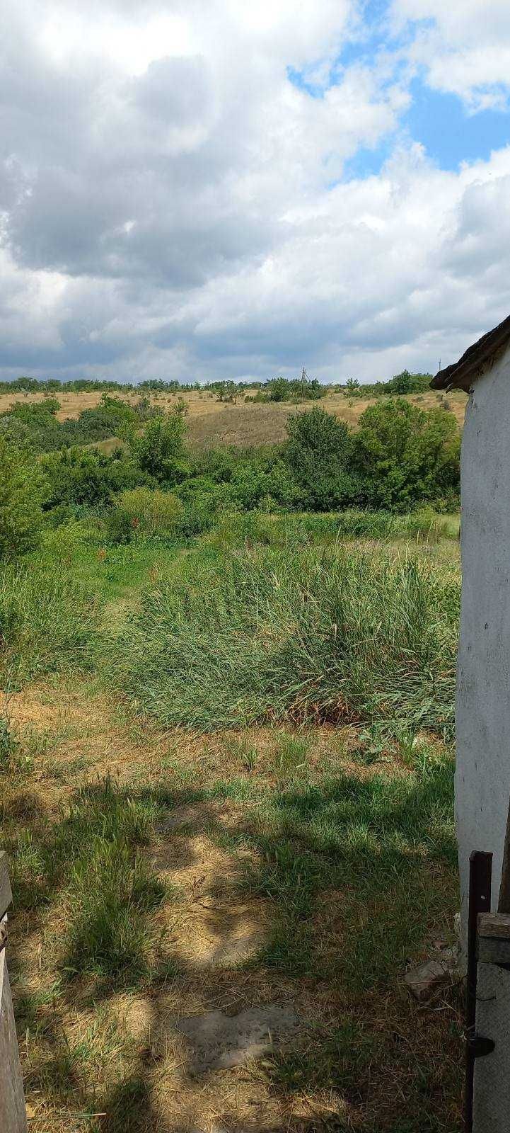 Продается Пол дома с.Шостакове