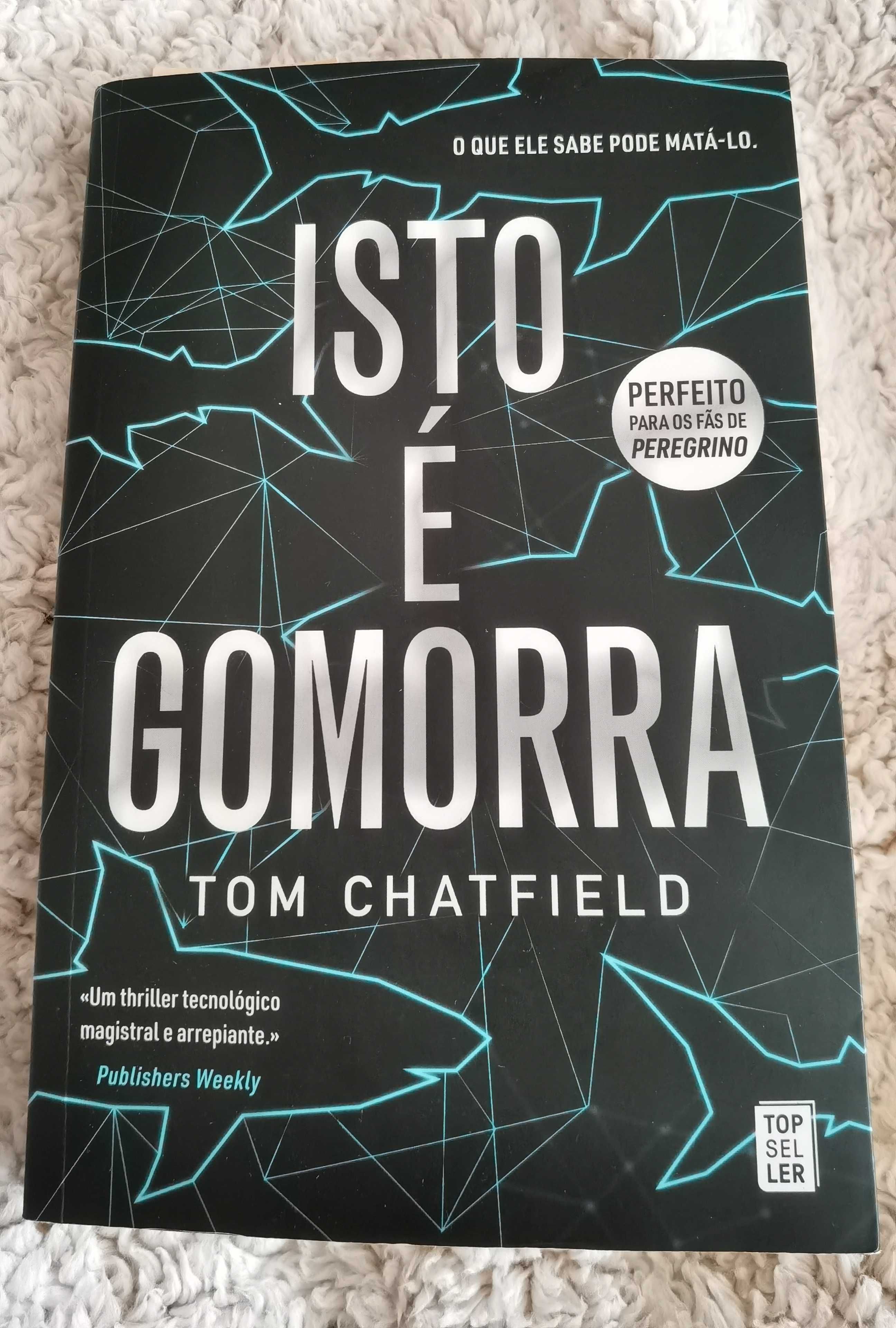 Livro isto é gomorra