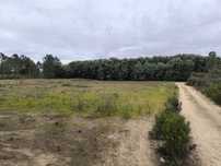 Terreno  com 6750 m2 em Catrão, Vale de Prazeres, Fundão.