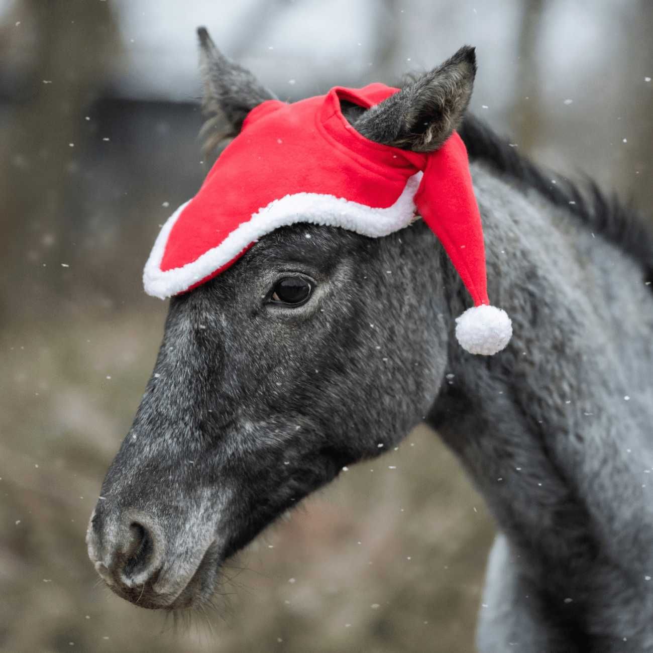 Nauszniki York świąteczne z pomponami Pony