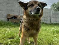 Haker do adopcji!