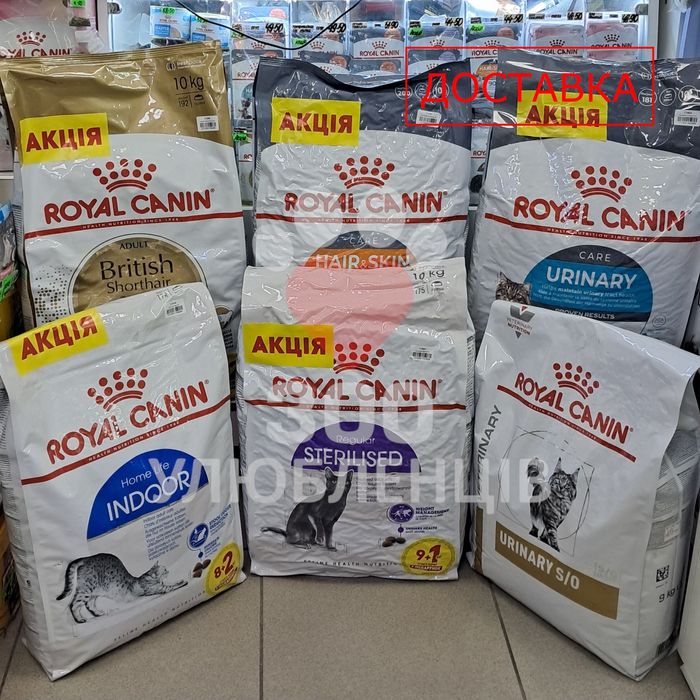 ROYAL CANIN (РОЯЛ КАНІН) сухий збалансований корм для котів