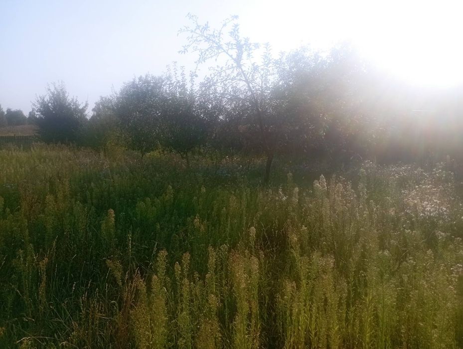 Продаю земельну ділянку від власника