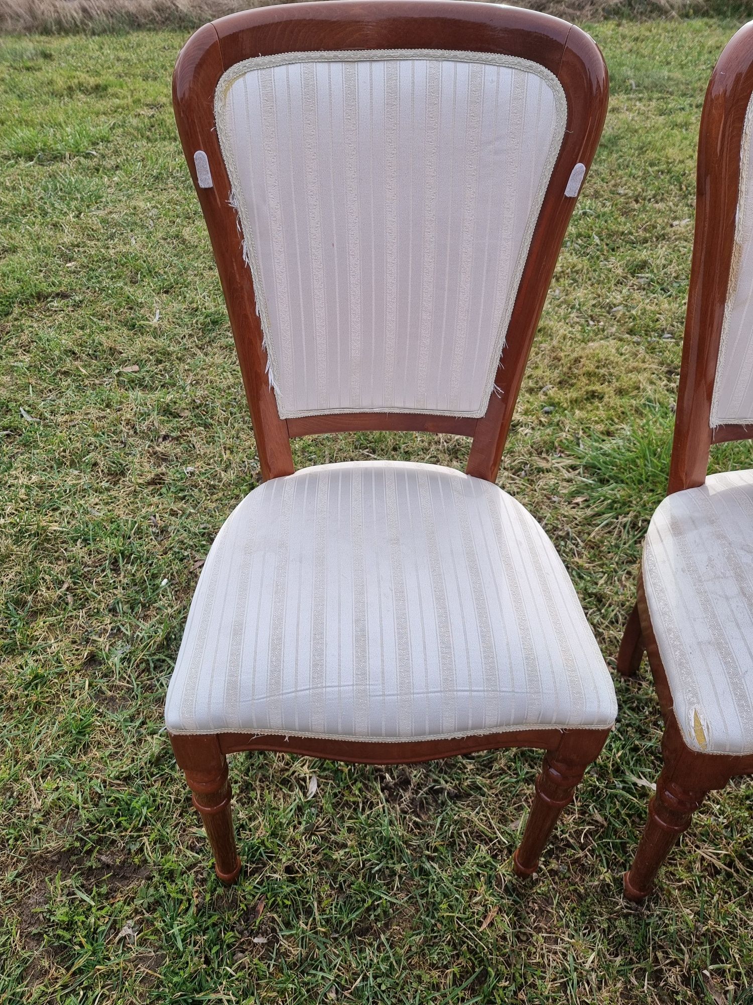 6 sztuk krzesła eleganckie drewniane
