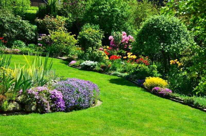 Usługi ogrodnicze , ogrodnik , pielęgnacja ogrodu ,przycinka żywopłotu