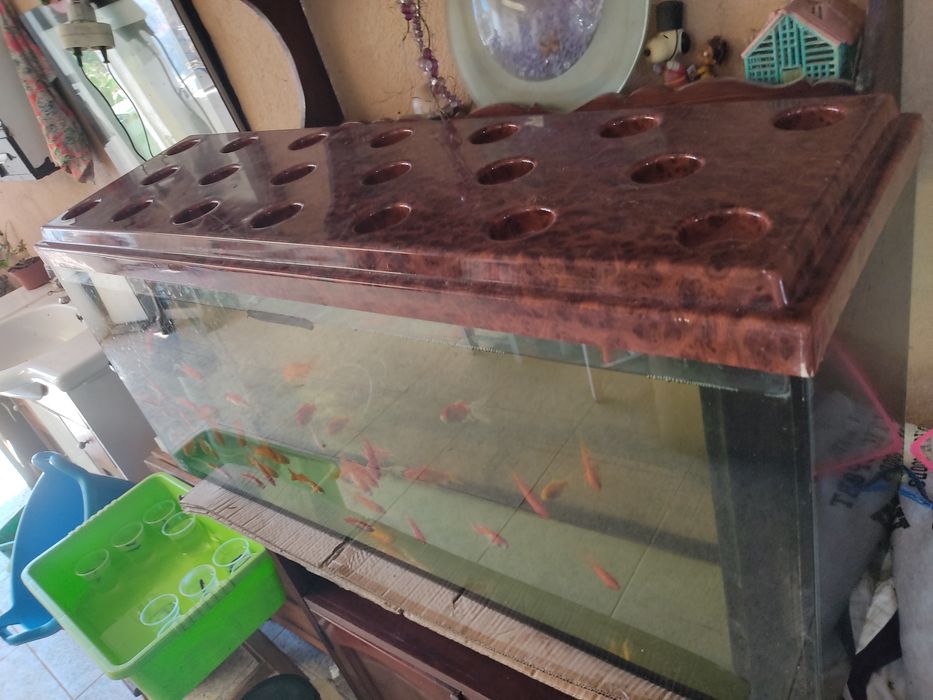 Aquário 100L aprx tampa
