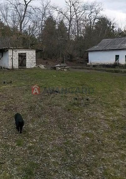 Продаж земельної ділянки біля лісу