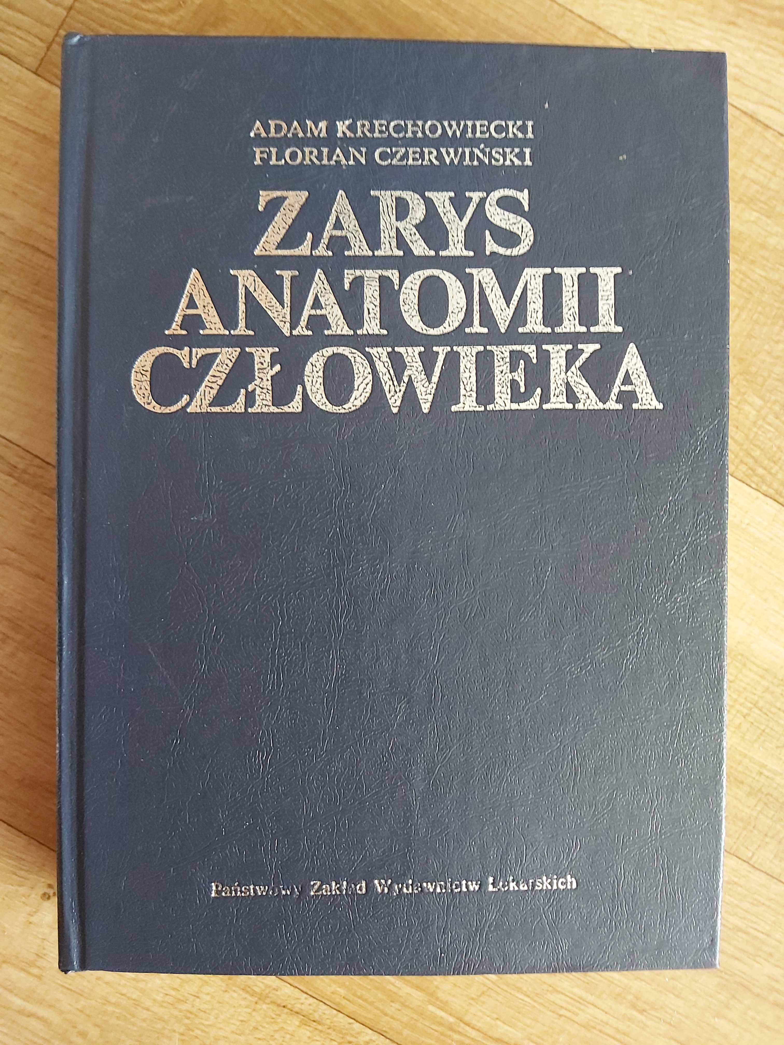 Zarys anatomii człowieka