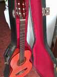 Viola flamenca B5F