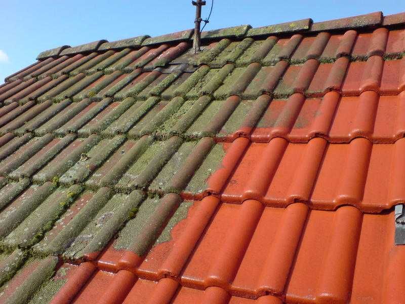 Mycie Malowanie Dachów Elewacji Czyszczenie Kostki Brukowej Dachówki