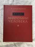 Атлас анатомии человека. Р. Синельников.