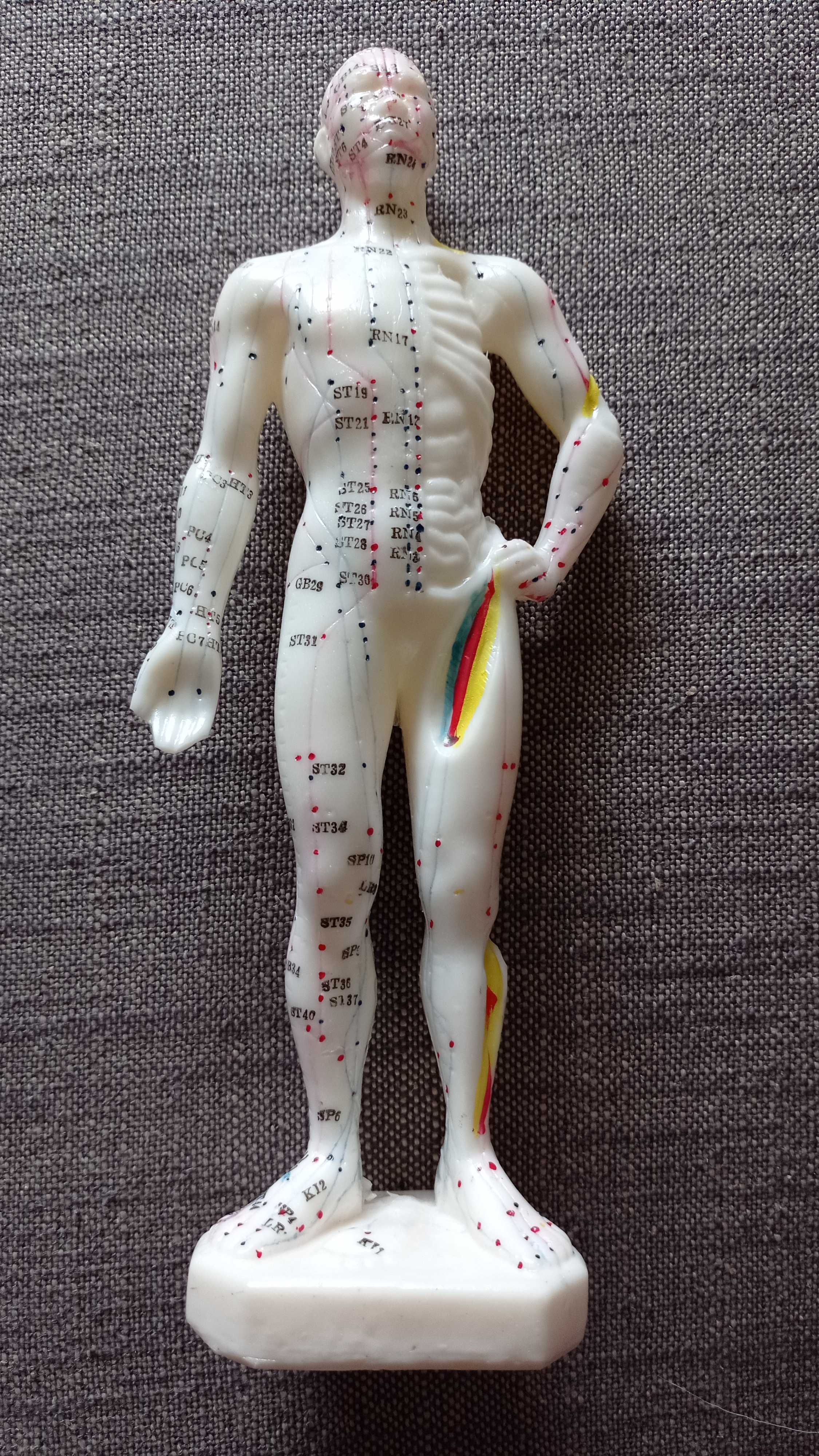 Figurka - Model męskiego ciała 26 cm- punkty akupunkturowe