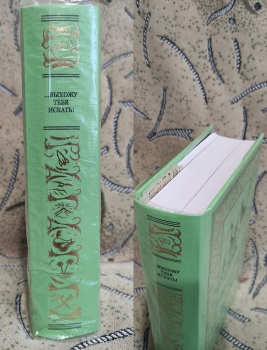 Рамка БПНФ Евгений Титаренко "Выхожу тебя искать" детективы