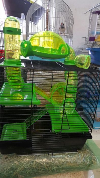 Klatka dla chomika, myszki