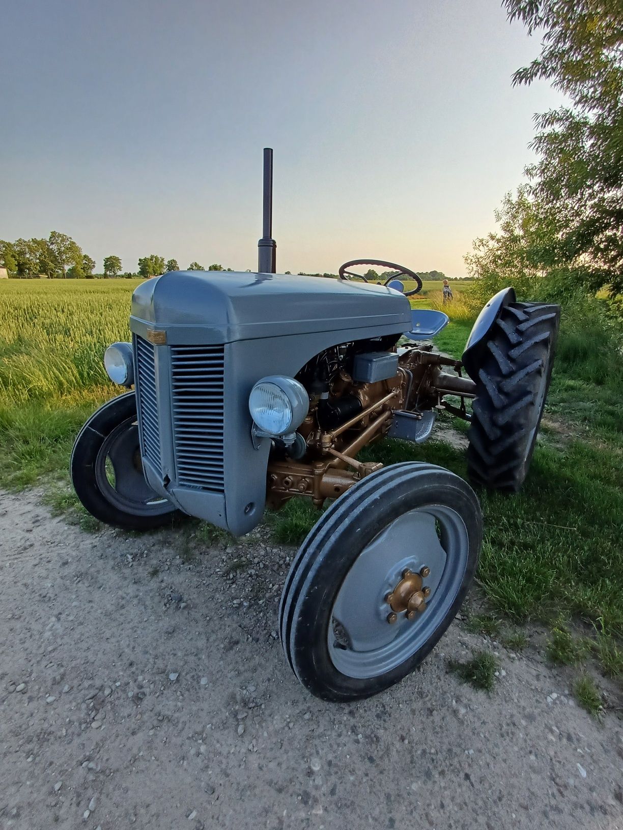 Massey ferguson TEA 20