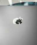 MacBook Air 2020 – Intel Core i5 | 8 GB RAM | 256 GB SSD | Space Gray
