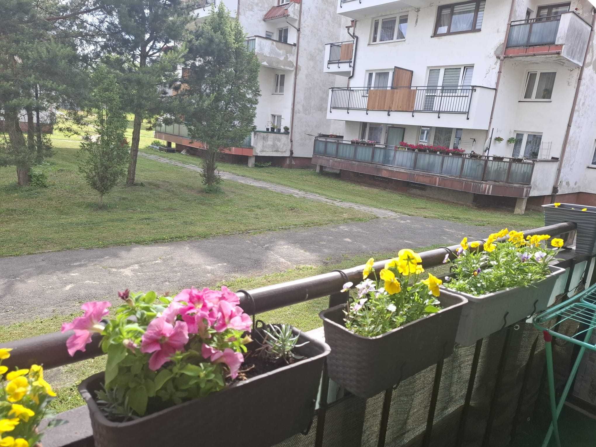 M5 Poręba, 70m2 z dużym tarasem balkonowym