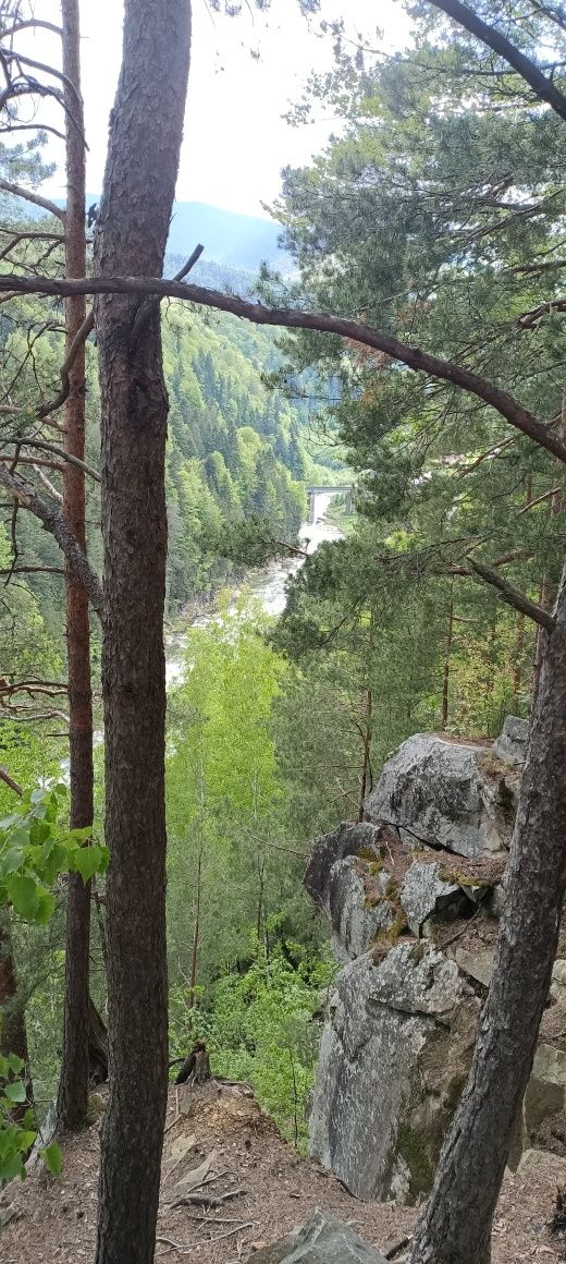Котедж  Яремче сімейний,ЛІСОВА КАЗКА